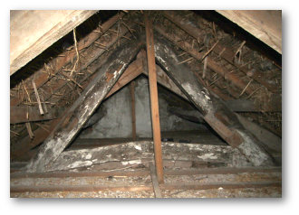 Roof truss